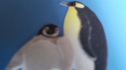 Penguin 5