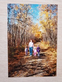 Rewind Fall memories 2