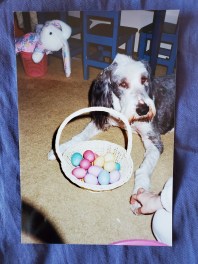 Easter Rewind 30